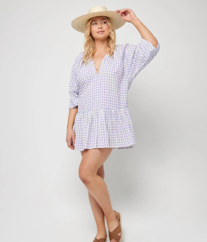 Vida Dress - Park Slope Gingham