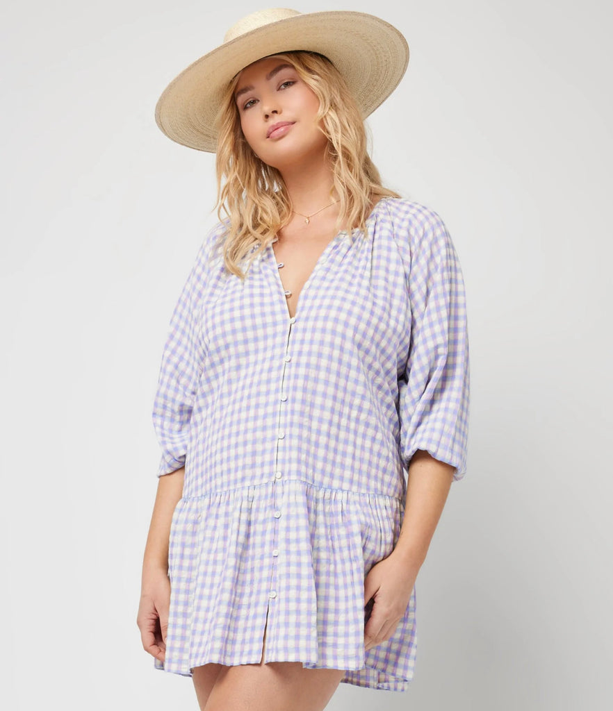 Vida Dress - Park Slope Gingham